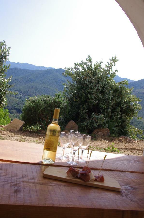 Bed & Breakfast Casa Ib 3*
