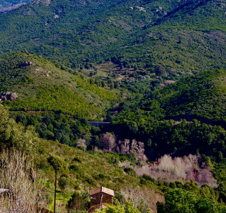 Bed & Breakfast Casa Ib 3*